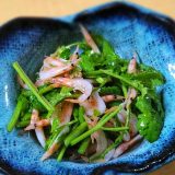 Coriander and fried sakura shrimp salad