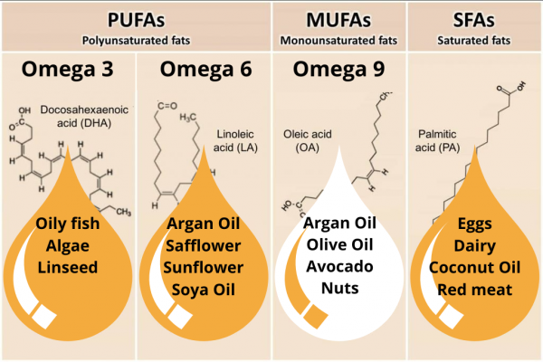 omega-3, omega-6, and omega-9.