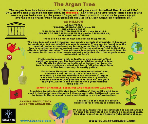 argane.Argan_tree_infographic