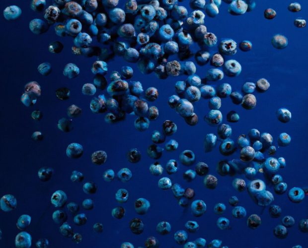blueberries floating in a blue ocean